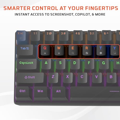 EvoFox Katana S Mini Wired Mechanical Keyboard | Hot-Swappable Silent Red Switches | 68-Key Compact Layout | Vivid Rainbow Backlighting | 1000Hz Polling Rate, All Keys Anti-Ghosting (Black) - Image 5