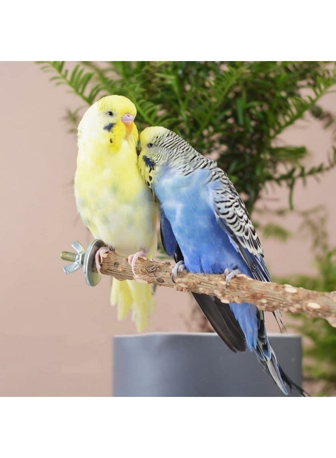 IOUALEY 6 PCS Natural Wood Bird Perch Parrot Stand Fork Toys, Hanging Multi-Branch Perch Bird Cage Accessories for Small Parakeets, Conures, Cockatiels, Budgies, Finches, 3 Types - Image 4