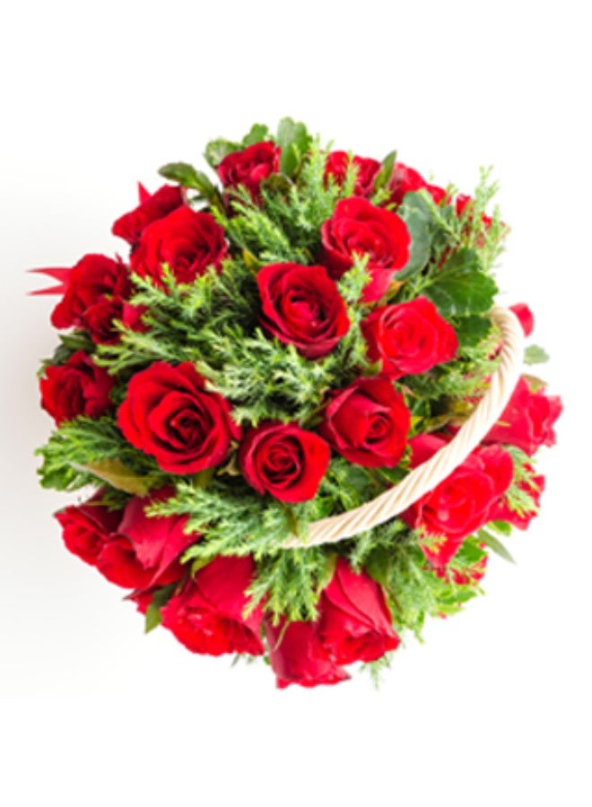 Fresh Live 20 Red Roses basket with green leaves fillings