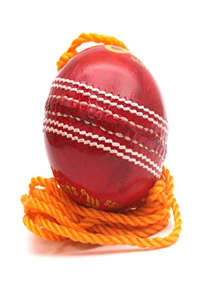 PSE Priya Sports Leather Club Practice Hanging Cricket Ball Red Pack of 4 - Image 4