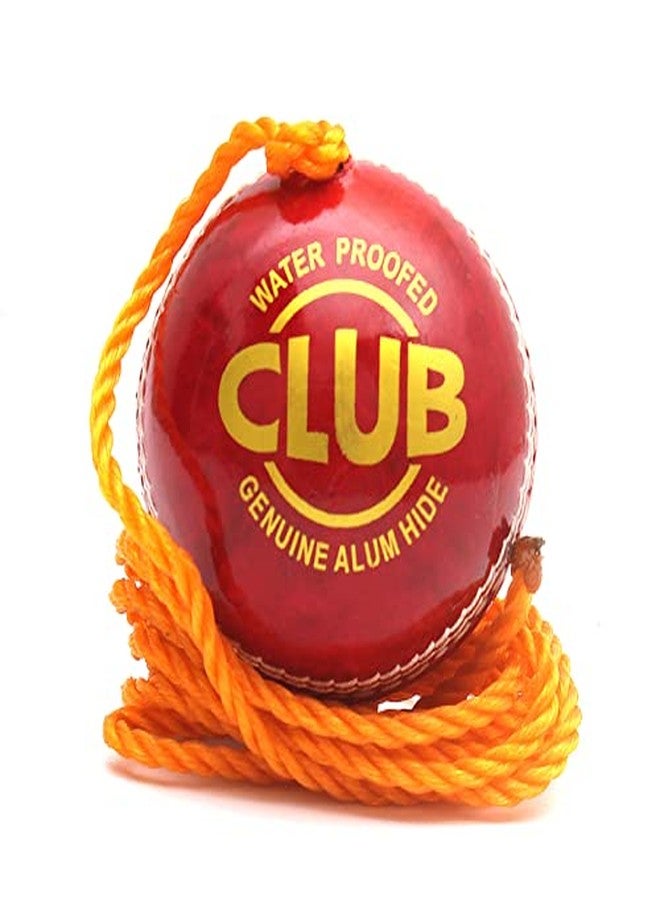 PSE Priya Sports Leather Club Practice Hanging Cricket Ball Red Pack of 4 - Image 3