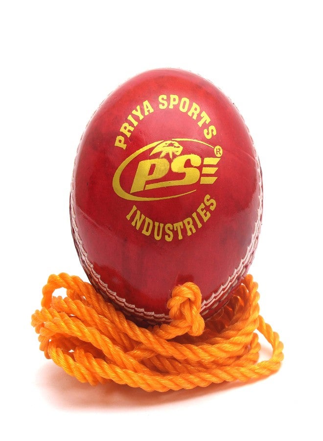PSE Priya Sports Leather Club Practice Hanging Cricket Ball Red Pack of 4 - Image 2