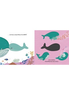 Little Life Cycles: Whale  - Image 4