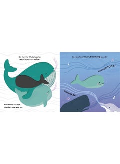 Little Life Cycles: Whale  - Image 3