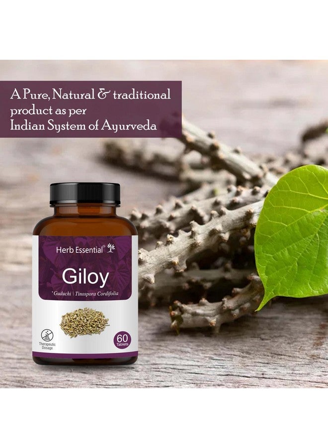 Herb Essential قرص هيرب إسينشال جيلوي 500 ملغ 60 حبة | معزز المناعة - Image 5