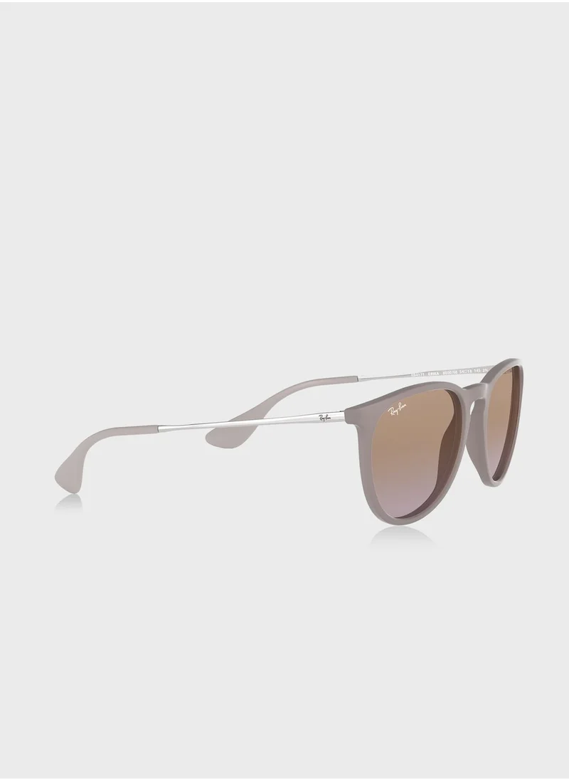 Ray-Ban Erika Sunglasses