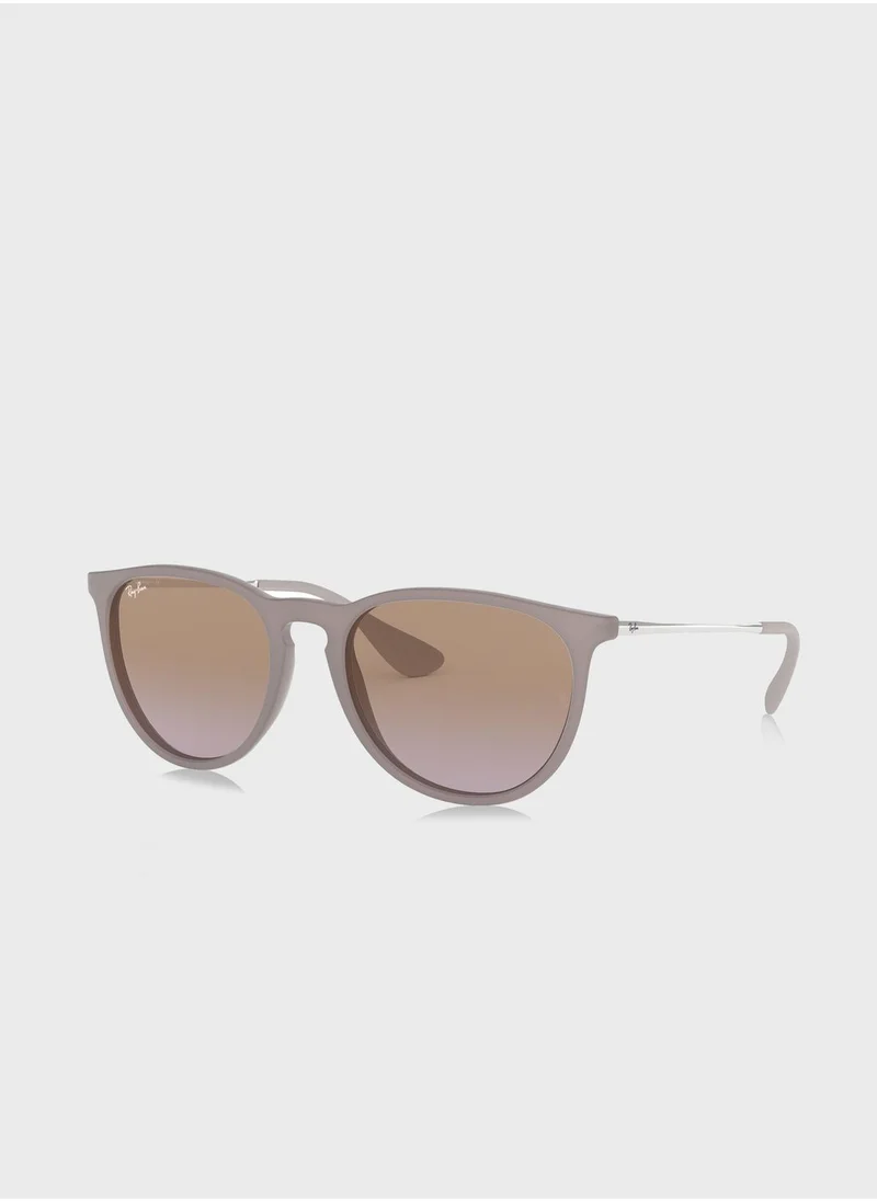 Ray-Ban Erika Sunglasses