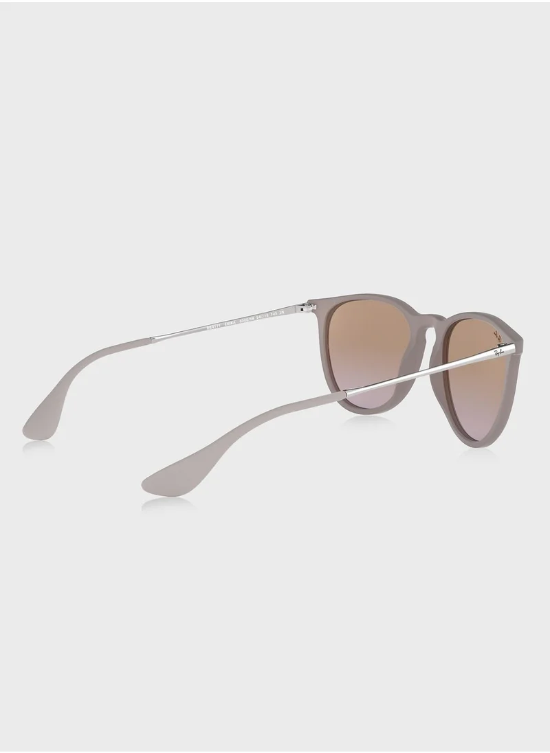 Ray-Ban Erika Sunglasses