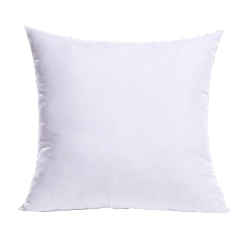 MIULEE MIULEE Throw Pillow Insert Premium Pillow Stuffer Sham Square Form for Decorative Cushion Bed Couch Sofa 21x21 Inch  - Image 1