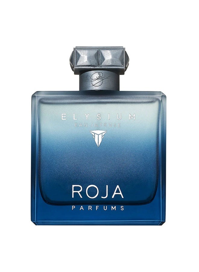 Roja Parfums Elysium Eau Intense Pour Homme Parfum 100Ml