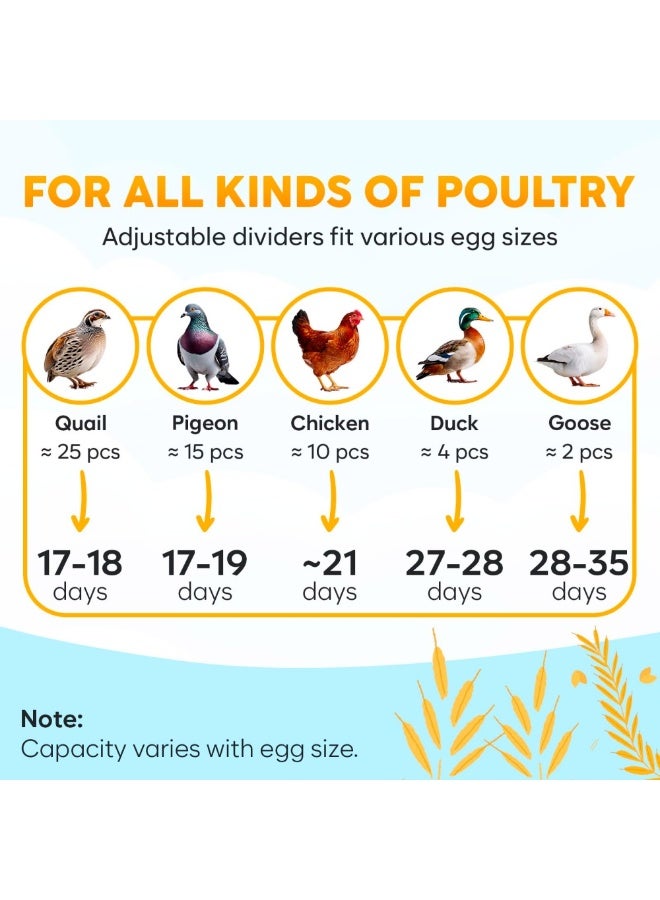 WALALLA 10 Egg Incubator for Hatching Chicken, Quail, Duck & Pigeon Eggs, Automatic Egg Turner, Humidity Control, External Water Filling, LED Display, Integrated Egg Candler, Green & Yellow - Image 5