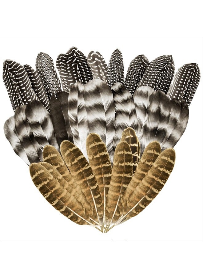 CANIPHA 30Pcs Natural Turkey Feathers, 5.3-7 Inch Craft Feathers Pheasant for Hats, 3 Style Mixed Natural Feathers for Carnival Costume Feather Mask Wedding Party Decoration Flower Arrangement - Image 1