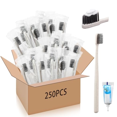Uiifan 250 Sets Disposable Toothbrushes with Toothpaste Bulk Individually Wrapped Travel Toothbrush Kit Soft Bristle Tooth Brushes Homeless Supplies for Hotel Shelter Nursing Home Charity Donation
