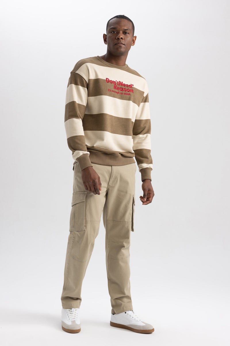 DeFacto Man Boxy Fit Crew Neck Striped Printed Sweatshirt  - Image 5