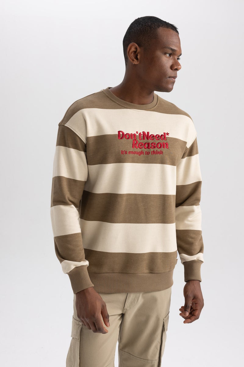 DeFacto Man Boxy Fit Crew Neck Striped Printed Sweatshirt  - Image 4