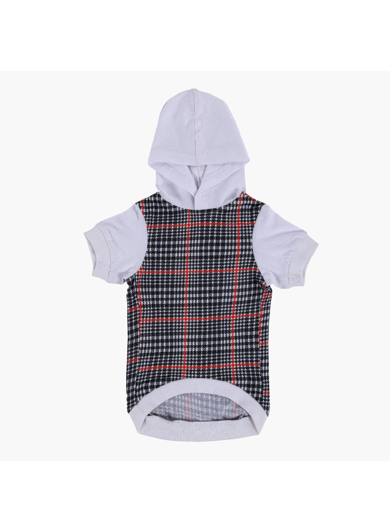 Home Box Canine Regal Elegance Hoodie 22 x 21 x 26 cm - Image 1