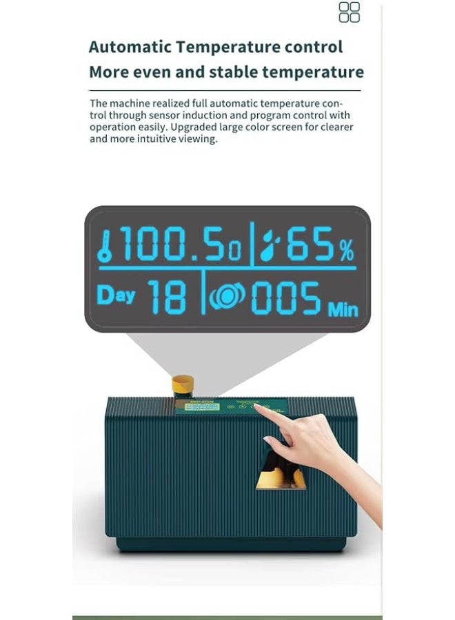 Neo Classic 10-Egg Automatic Incubator – Automatic Temperature Control, LED Display, Warm Light Window, Home Egg Hatcher for Chicken, Duck, Quail, Goose (10LH) - Image 5