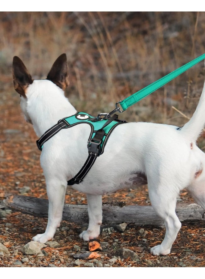 Joytale Joytale Double-Sided Reflective Dog Leash, 6 FT/5 FT/4 FT, Padded Handle Nylon Dogs Leashes for Medium & Large Dogs Walking, Teal, 6FT  - Image 2