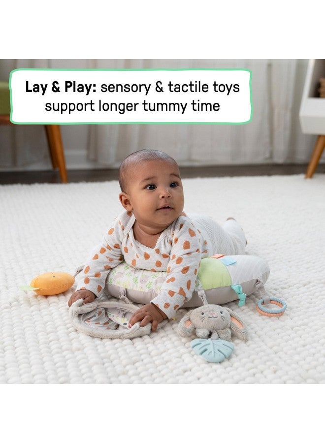 ingenuity وسادة وقت البطن إنجينيتي كوزي بروب سيلفي، متعددة الحواس، 4 ألعاب قابلة للإزالة، 0+M - أرنب محشو - Image 4