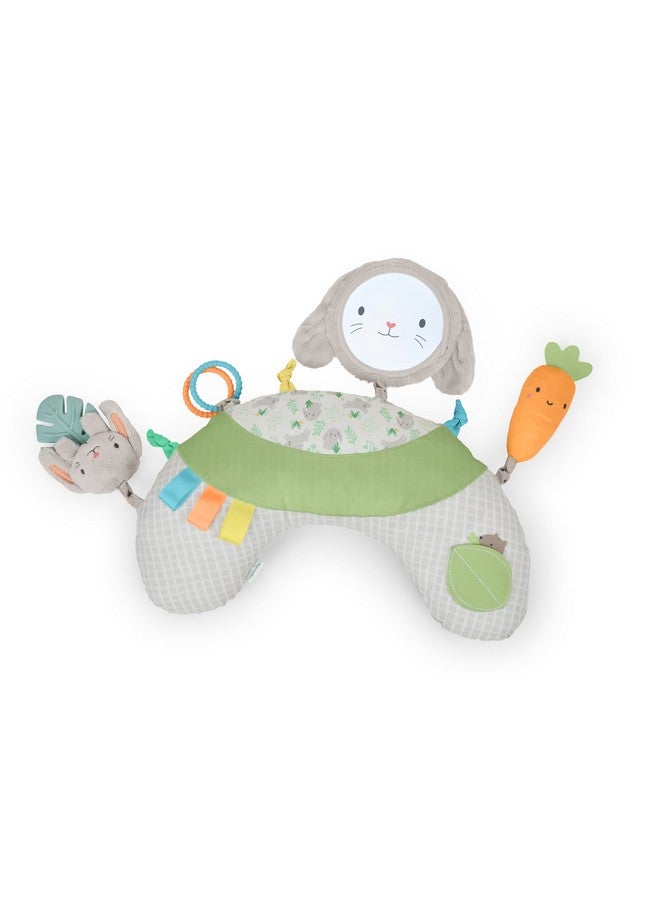 ingenuity وسادة وقت البطن إنجينيتي كوزي بروب سيلفي، متعددة الحواس، 4 ألعاب قابلة للإزالة، 0+M - أرنب محشو - Image 1