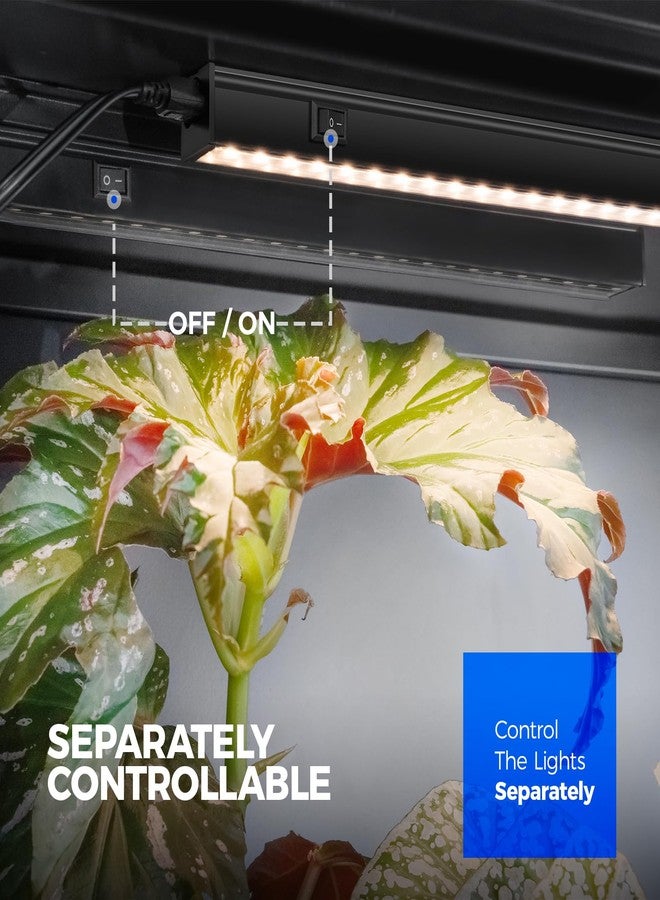 Barrina - Grow Lights For Indoor Plants, Full Spectrum Solar Light, Black Cover Led Bulbs, T5 Light Strip, 1Ft Plant Growing Plants - Image 5