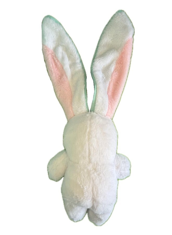 WHITESTARALL Soft Squishy Carrot Strawberry Turned Into Big Ear Rabbit with Zipper Plushie Reversible Floppy Pillow (42cm) - Image 3
