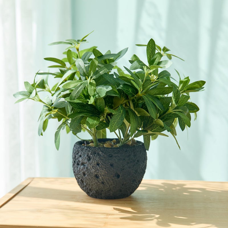 AlphaAcc 9.5" Artificial Plants with Olive Leaves Real Looking Faux Plants Fake Greenery Potted in Black Round Ball Planter for Tabletop Bathroom Kitchen Office Housewarming Gift Home Decor - Image 2