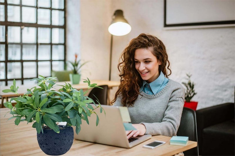 AlphaAcc 9.5" Artificial Plants with Olive Leaves Real Looking Faux Plants Fake Greenery Potted in Black Round Ball Planter for Tabletop Bathroom Kitchen Office Housewarming Gift Home Decor - Image 3