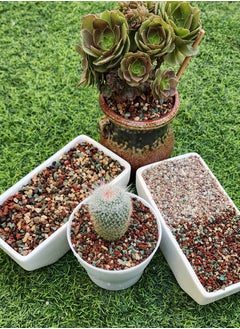 Generic Horticultural grit, Garden stones, Mixture of maifan, zeolite stone, red and black lava stone, pumice stone for Bonsai, Cactus, Succulent and Orchid. 1.6lb  - Image 1