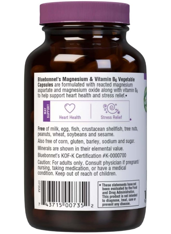Bluebonnet Nutrition - Bluebonnet Nutrition Magnesium Plus B-6, 317 G - Image 1