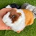 Basuo-9Q Basuo9Q 3 Pcs Assorted Color Realistic Hamster Figurines Plush Toys Lifelike Guinea Pig Stuffed Animals Home Decor Kids Gift Party Favors Rodent Photo Props - Image 4