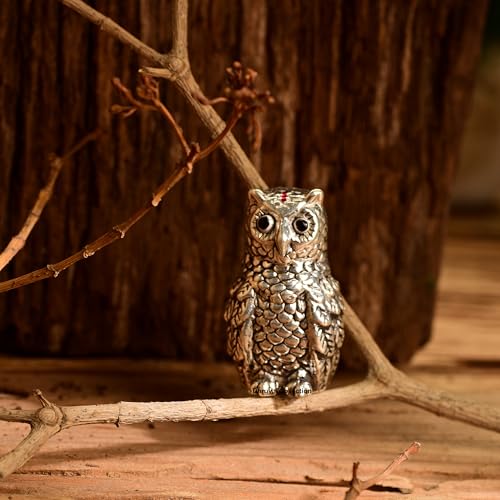 DHRUVS COLLECTION 999 Silver Vastu Owl | Religious & Corporate Decorative Gifts | Handmade Owl Sculpture, Feng Shui Bird, Evil Eye Protection, Paper Weight, Home & Office Table Showpiece - Image 5