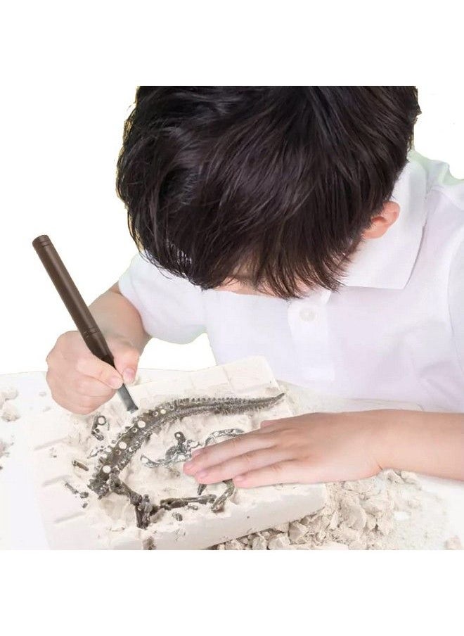 Dig & Discover Dino Stegosaurus Dinosaur Skeleton 3D Fossil Bones Excavation, Science Educational Toy Kit For Kids, Children