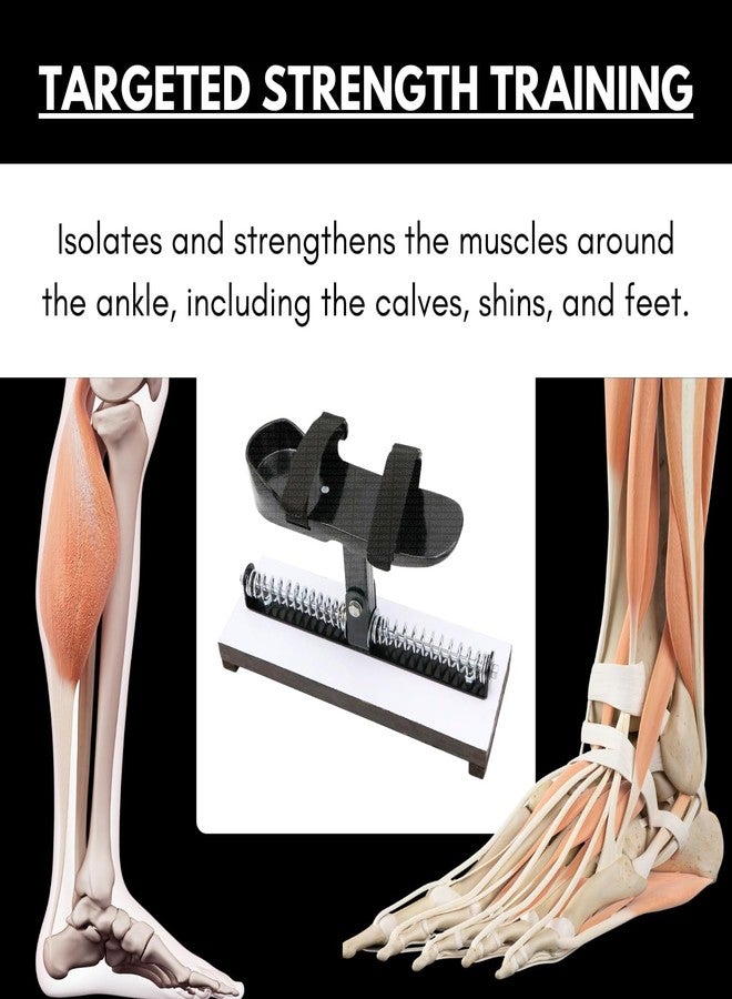 Physiogears Ankle and Heel Exerciser Physiotherapy Equipment for Physiotherapy Use (Ankle Wooden) - Image 3