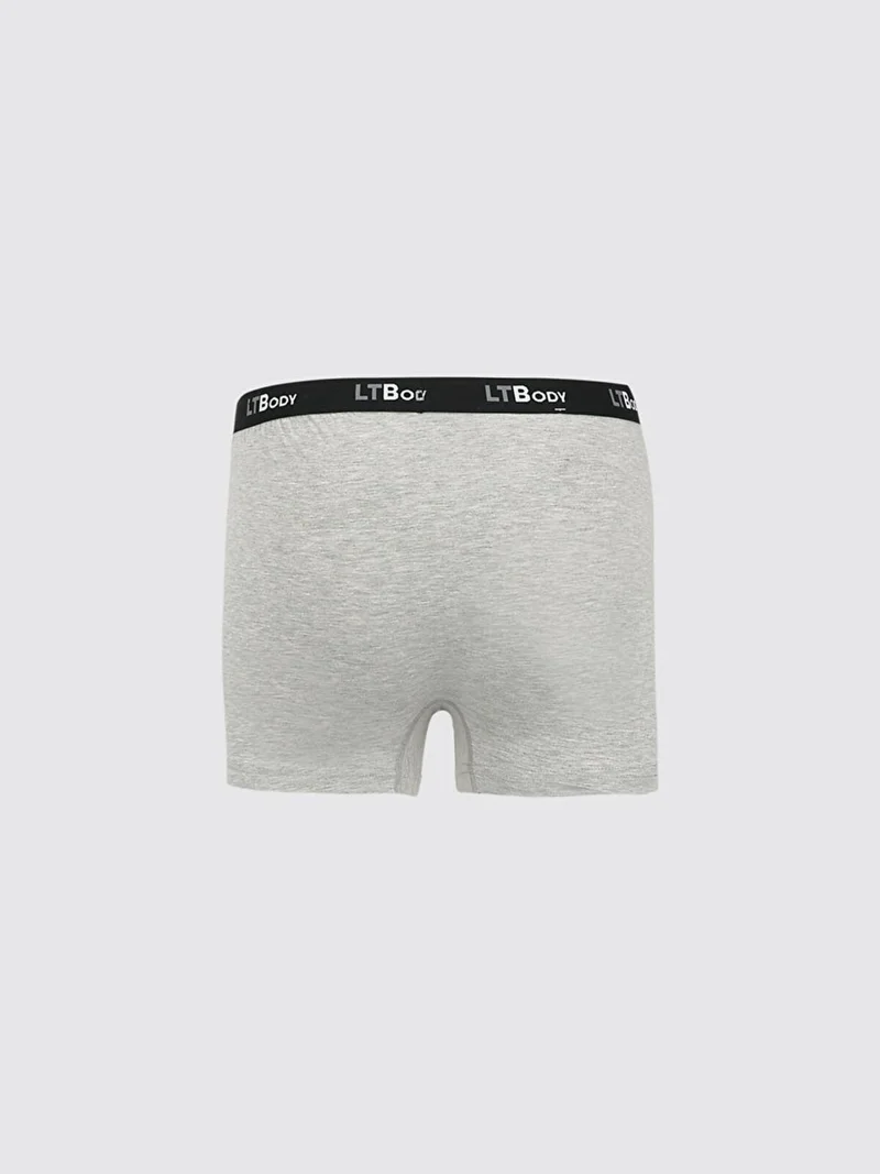 LTB Men's Grey Boxer
