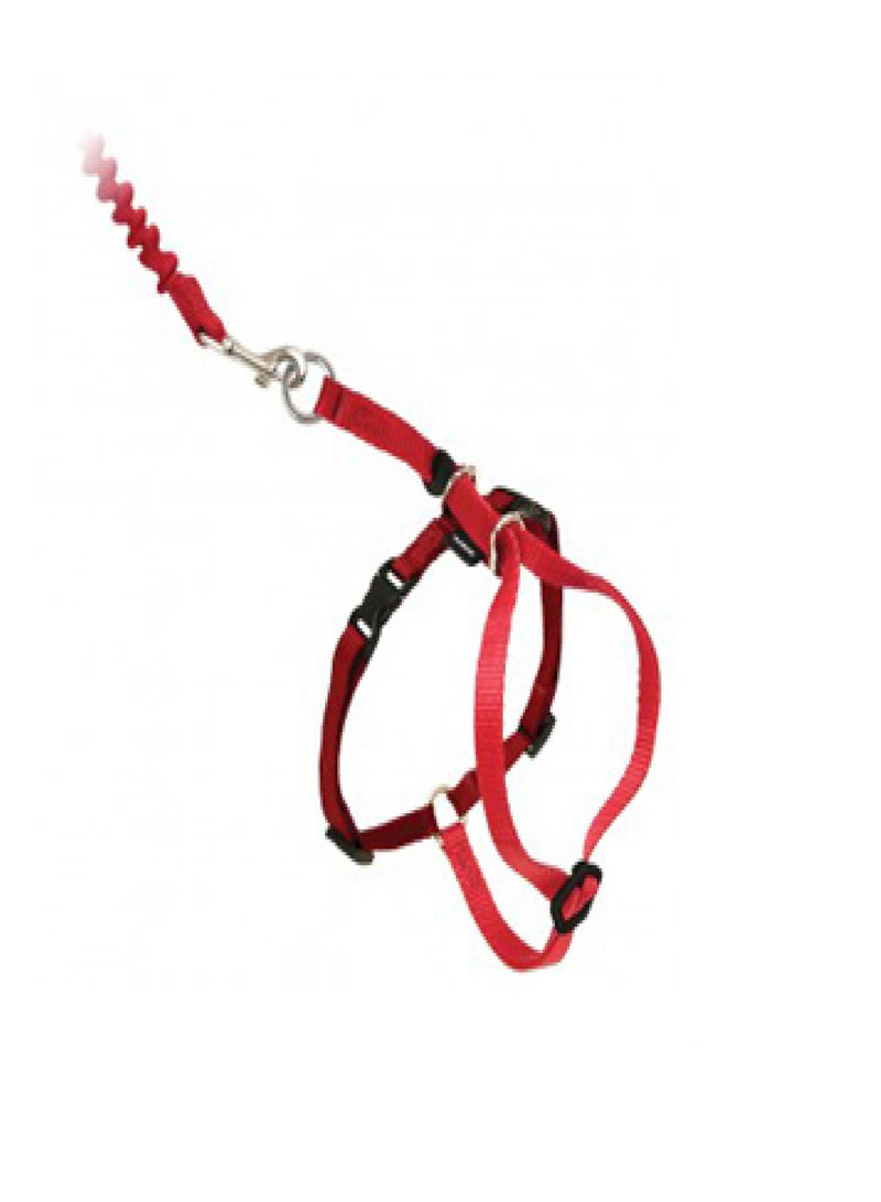 PetSafe Easy Walk Cat Harness Lead - Large Red