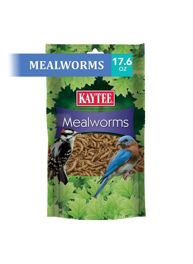 Kaytee Wild Bird Food Mealworms For Bluebirds, Wrens, Robins, Chickadees, Woodpeckers, Cardinals & Chickens, 17.6 Ounce - Image 4