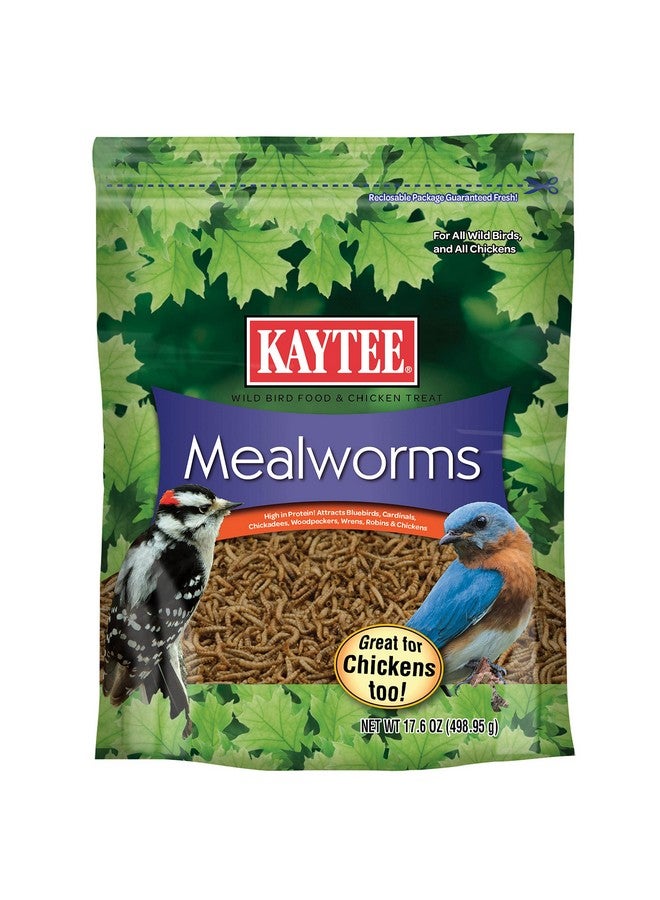 Kaytee Wild Bird Food Mealworms For Bluebirds, Wrens, Robins, Chickadees, Woodpeckers, Cardinals & Chickens, 17.6 Ounce - Image 1