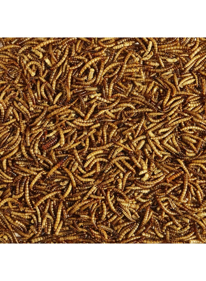 Kaytee Wild Bird Food Mealworms For Bluebirds, Wrens, Robins, Chickadees, Woodpeckers, Cardinals & Chickens, 17.6 Ounce - Image 5