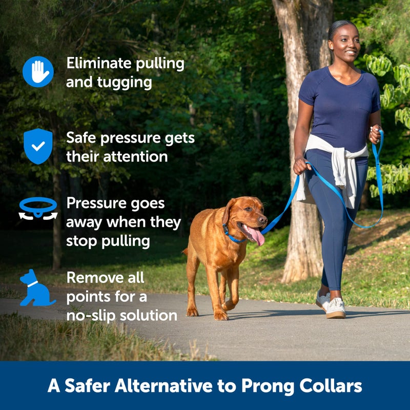 PetSafe Soft Point Training Collar - Comfortable No-Pull Adjustable Quick-Release Collar with Removable Soft Rubber Points - Pain-Free Training for Better Leash Manners - Medium - Black - Image 2