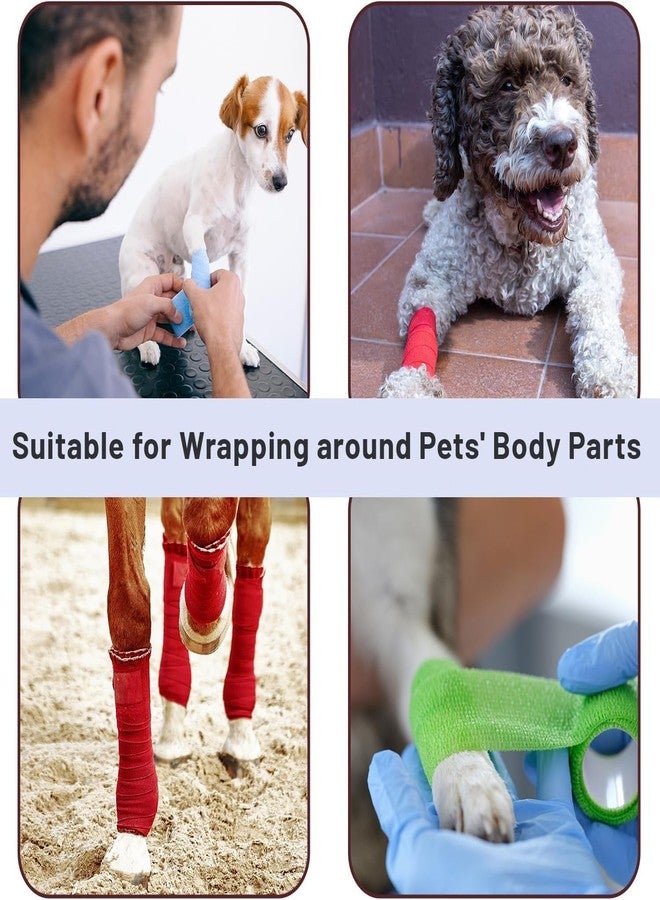 PET FUN Cohesive Self-Adhesive Non-Woven First Aid Elastic Bandage for Animal, Dogs, Cats, & Humans (5CM * 4.5M - Random Colour) (1) - Image 5