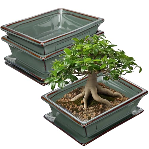 Villa Como Ceramic Bonsai Pots with Drainage Trays Set of 2, Green Glazed Bonsai Planters for Indoor/Outdoor Use, Rectangular Shallow Bonzai Tree Pot for Succulent, Orchids, Cacti, Home, Patio, Garden, 7.5"x5.5" - Image 1