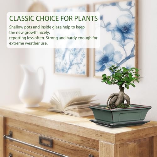 Villa Como Ceramic Bonsai Pots with Drainage Trays Set of 2, Green Glazed Bonsai Planters for Indoor/Outdoor Use, Rectangular Shallow Bonzai Tree Pot for Succulent, Orchids, Cacti, Home, Patio, Garden, 7.5"x5.5" - Image 4