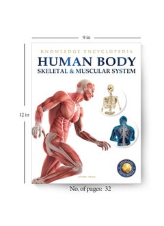 Human Body - Skeletal And Muscular System: Knowledge Encyclopedia For Children  - Image 1