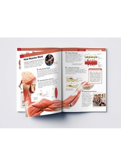 Human Body - Skeletal And Muscular System: Knowledge Encyclopedia For Children  - Image 4