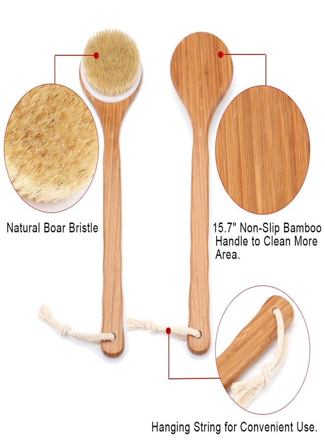 Lauliven Shower Brush with Natural Bristle - Long Bamboo Handle Bath Body Brush for Wet or Dry Brushing - Improves Blood Circulation, Exfoliating Skin - Image 2