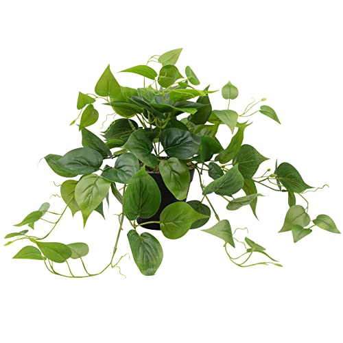 LOYWREE Artificial Scindapsus Aureus Fake Pothos Plants in Black Pots - Realistic Faux Indoor Greenery for Home, Office, Desk, Shelf, Living Room, Bedroom, Balcony, Patio & Garden Decor - Image 1