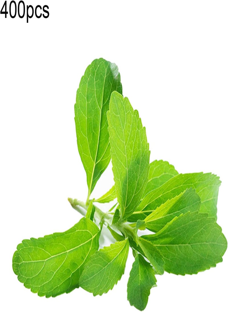 Seed for Planting,Stevia Rebaudiana Seeds Natural Sweeter Plant Home Garden Balcony Bonsai Decor-Stevia Seeds-400PCS