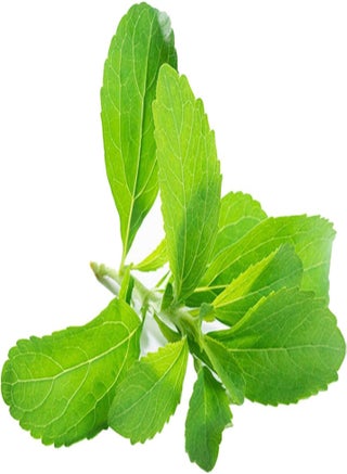 Seed for Planting,Stevia Rebaudiana Seeds Natural Sweeter Plant Home Garden Balcony Bonsai Decor-Stevia Seeds-400PCS - pzsku/Z564FDB5238BEE53303CEZ/45/1743077090/92c56d1b-b371-47b2-98e2-980553be8d5e