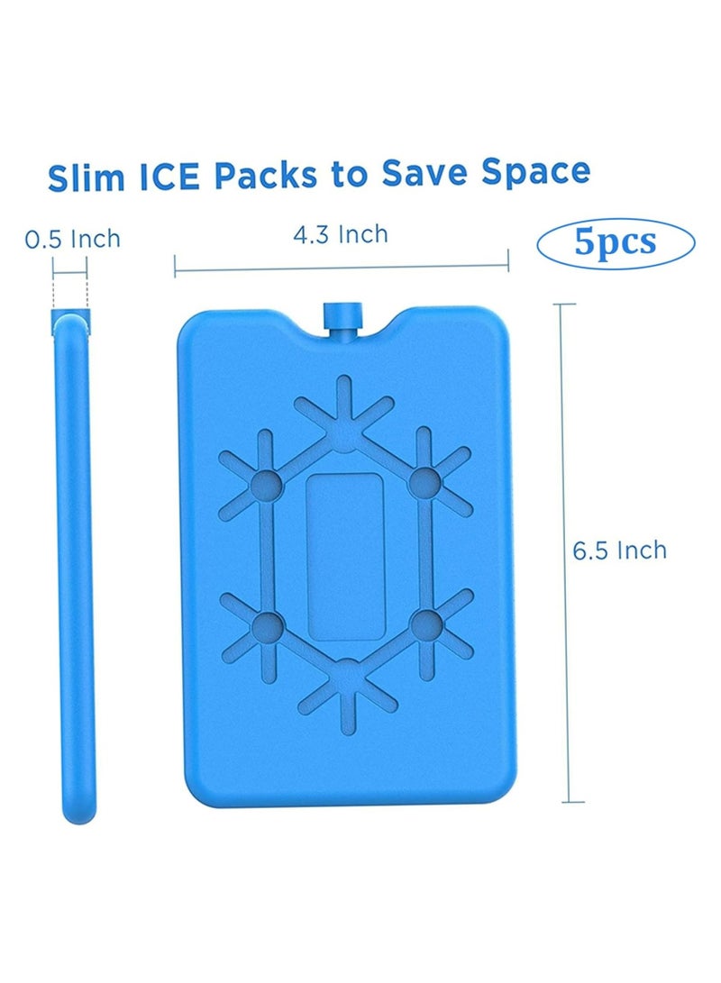 Oasisgalore 5Pcs Reusable Ice Packs for Cool Box, Travel, Lunch, and Picnic (200ML)  - Image 2